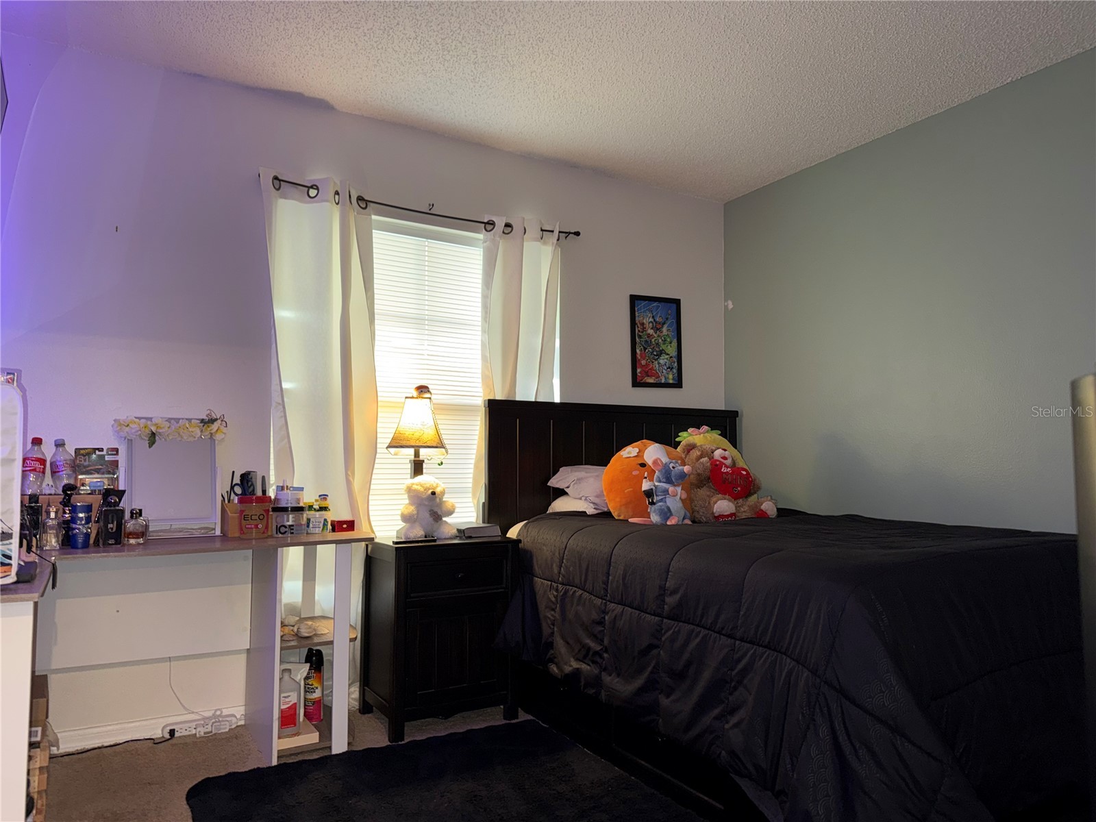 134 Somerset Drive Davenport FL 33897 O6379210 image10