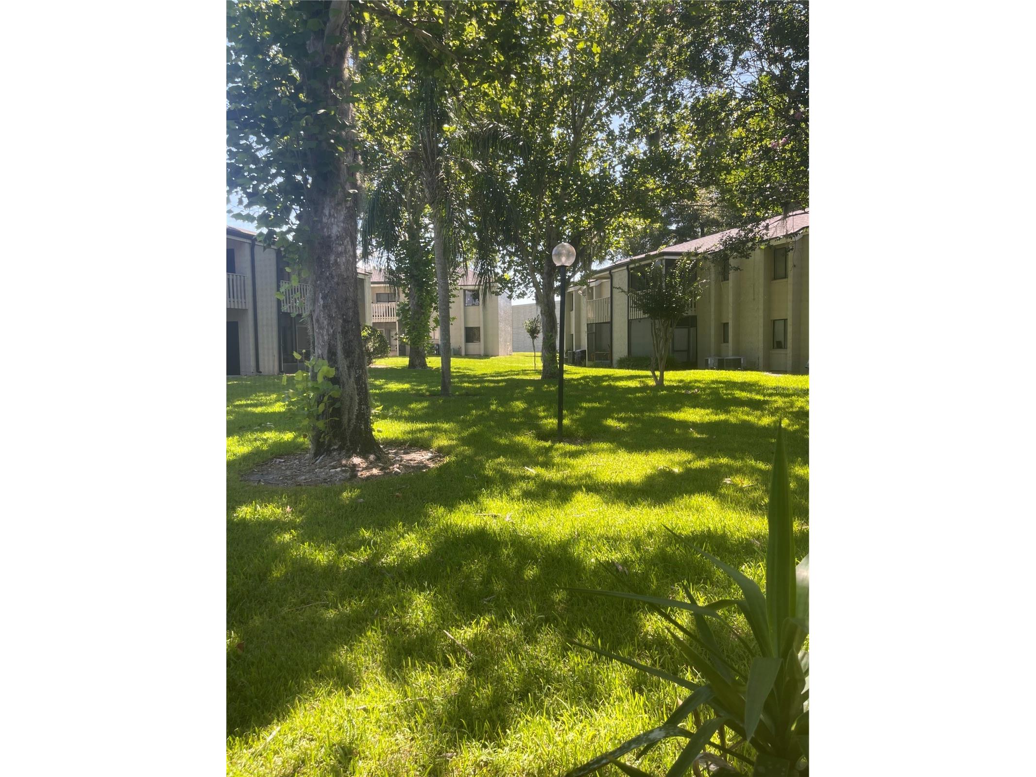 134 Springwood Circle #B Longwood FL 32750 O6422647 image13