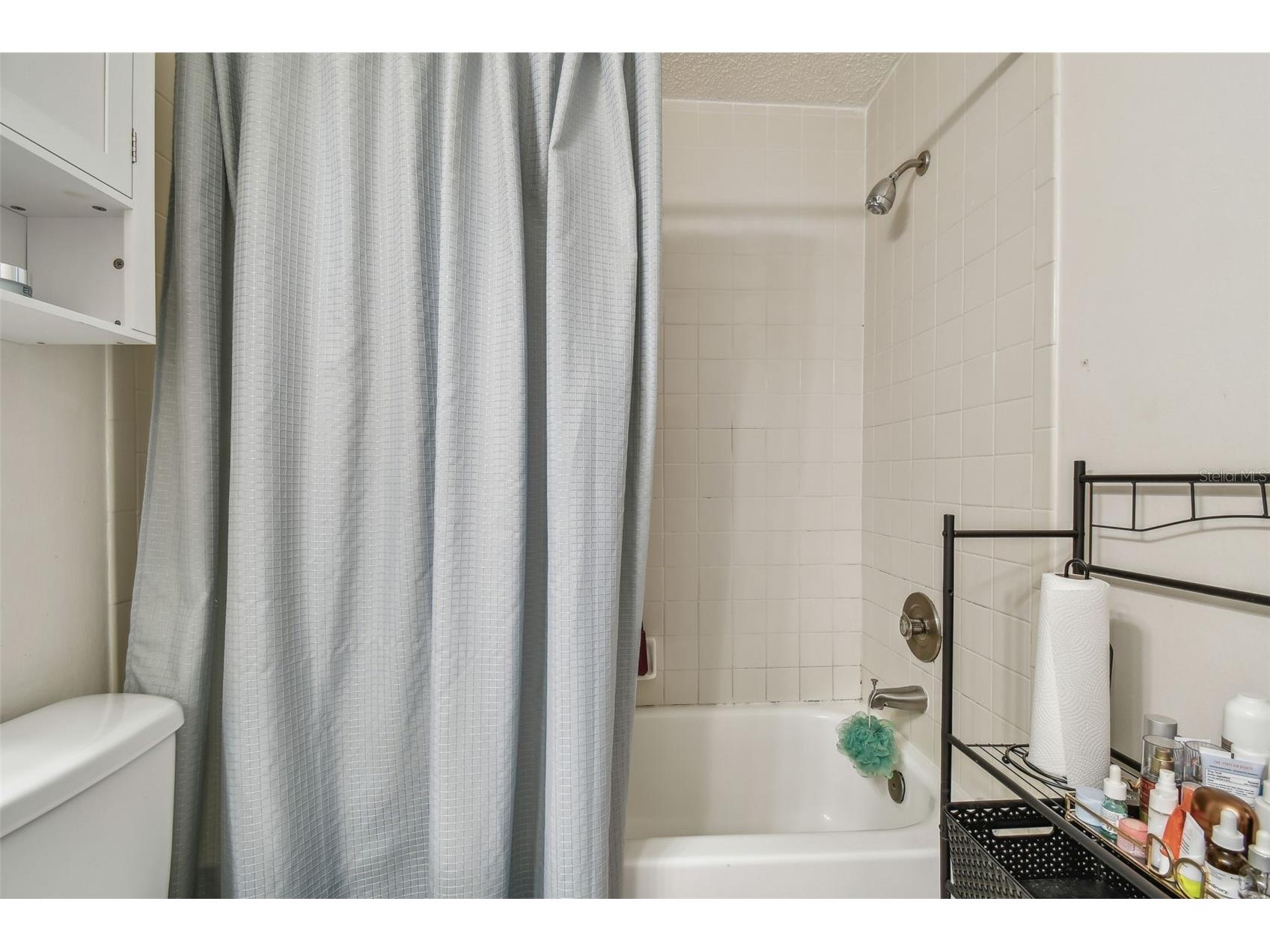 134 Sycamore Lane #H Oldsmar FL 34677 TB8470705 image25