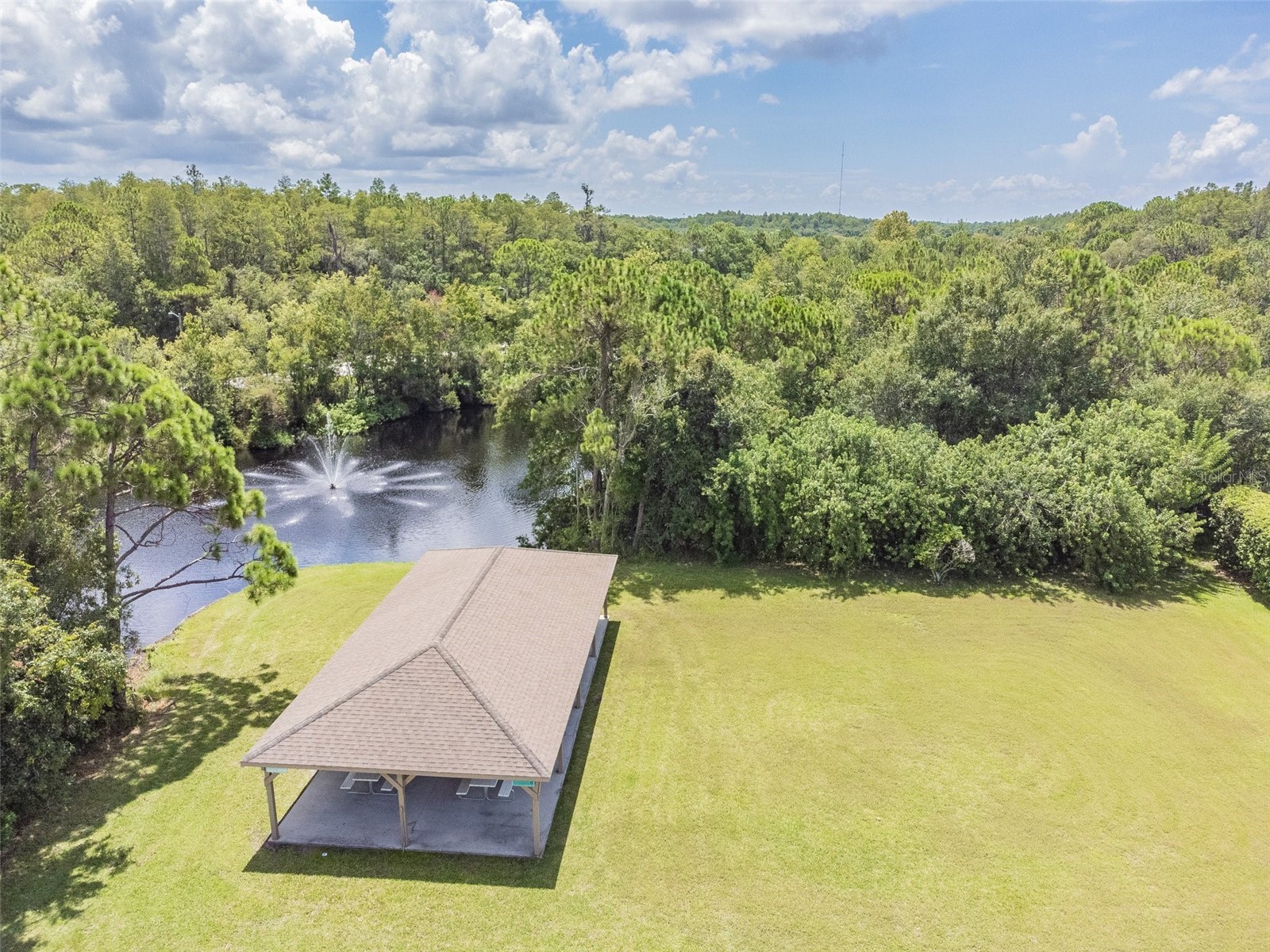 134 Sycamore Lane #H Oldsmar FL 34677 TB8470705 image37