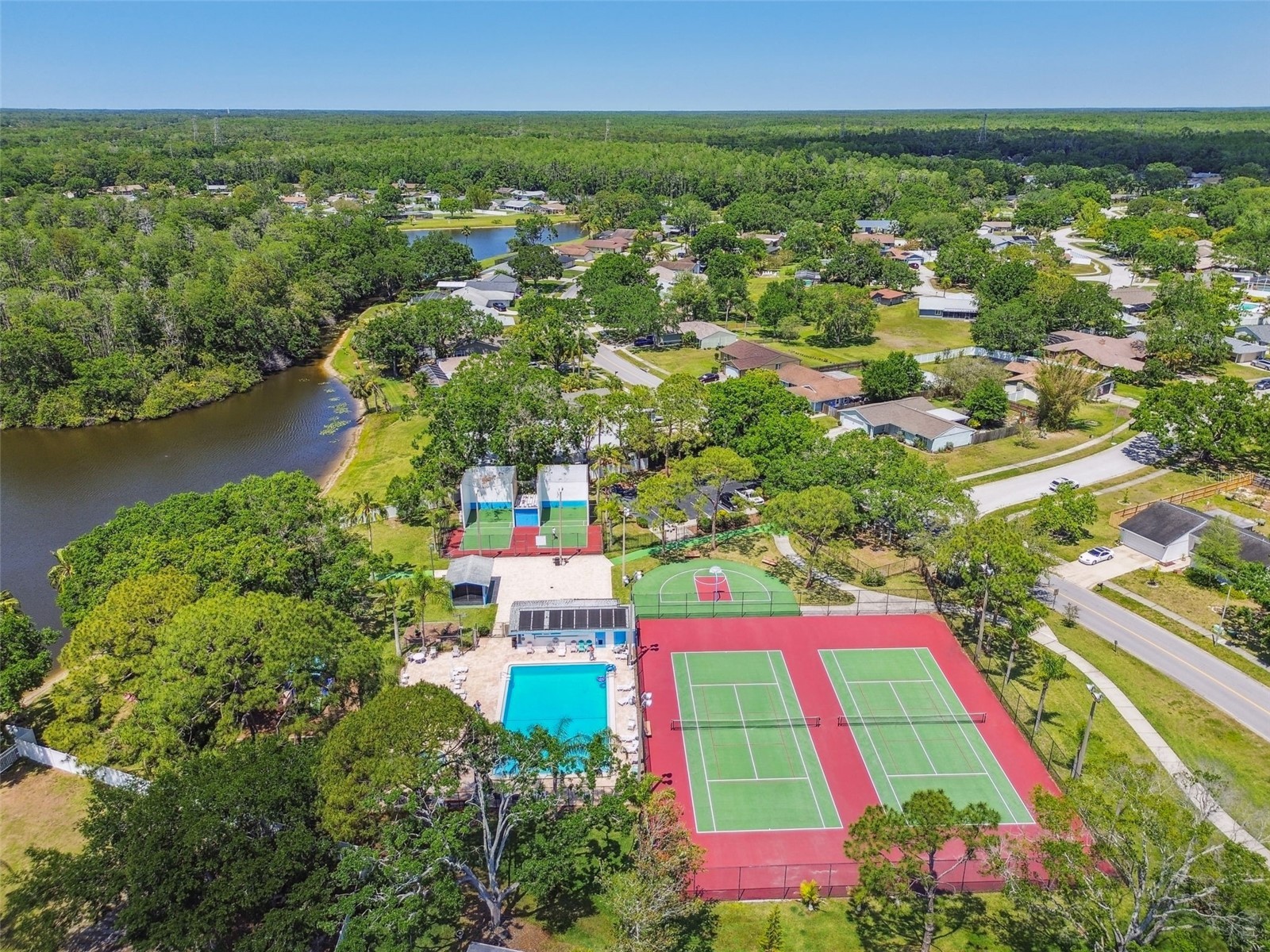 134 Sycamore Lane #H Oldsmar FL 34677 TB8470705 image42