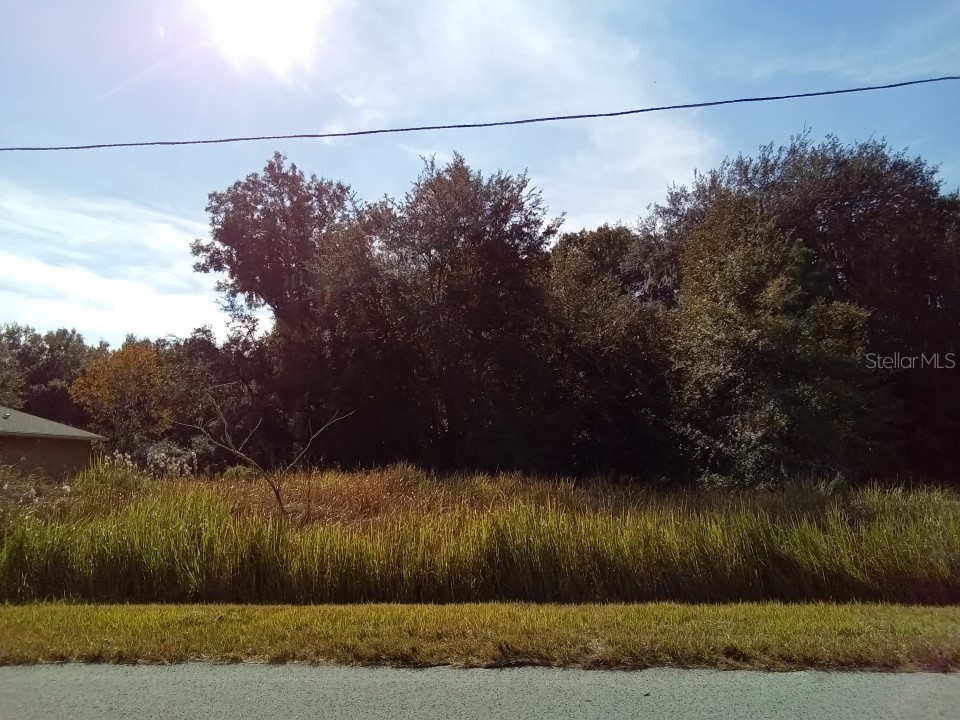 134 Willow Road, Ocala, FL, 34472 MLS O5995766 Edina Realty