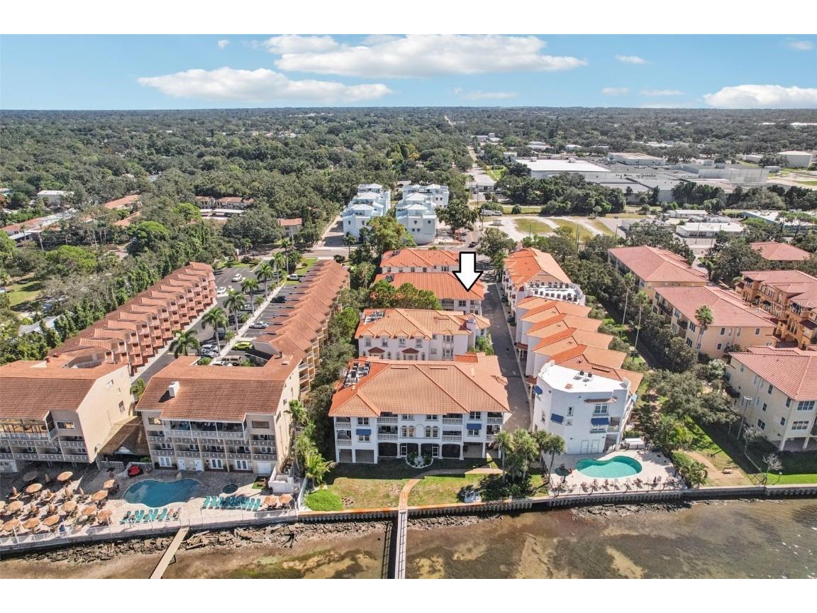 1340 Bayshore Boulevard #304 Dunedin FL 34698 TB8437458 image37