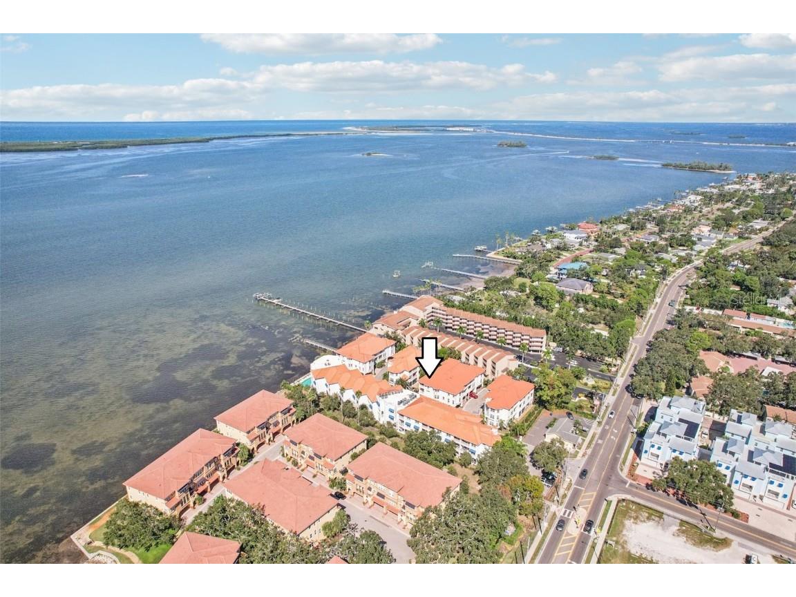 1340 Bayshore Boulevard #304 Dunedin FL 34698 TB8437458 image38
