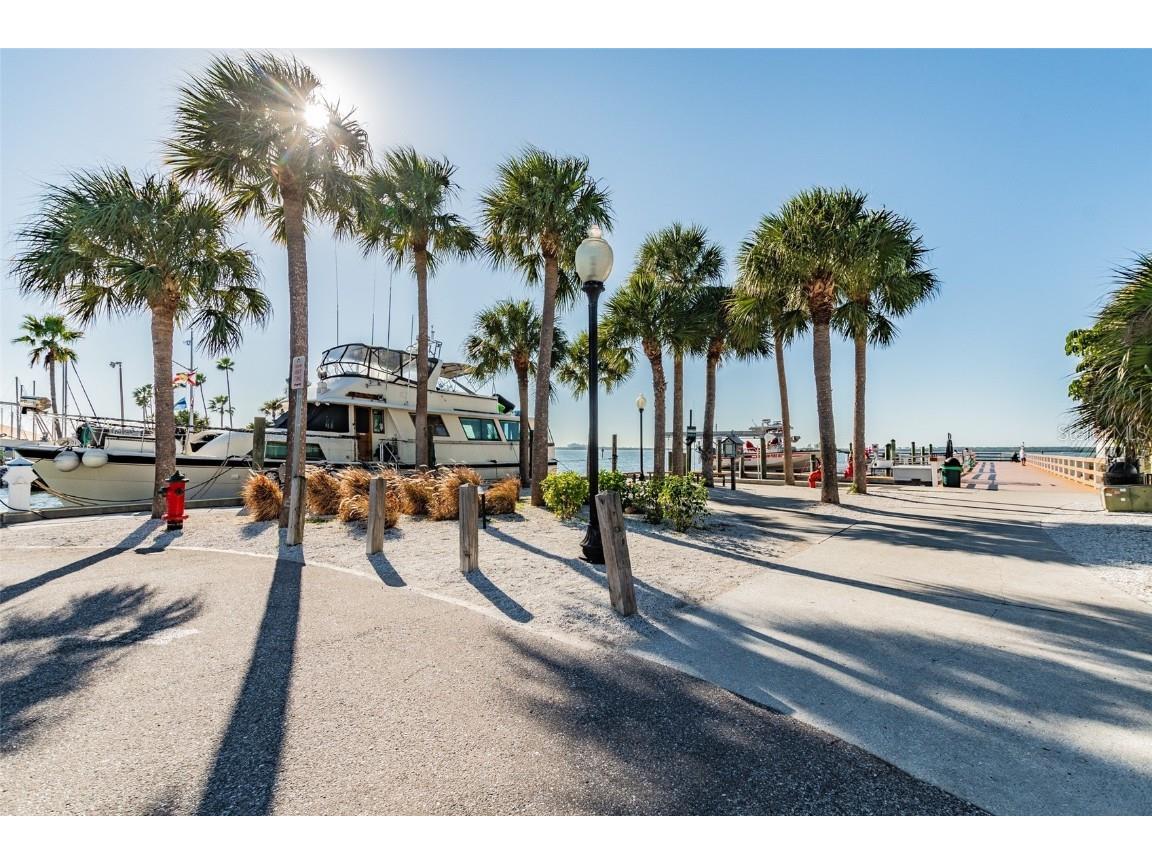 1340 Bayshore Boulevard #304 Dunedin FL 34698 TB8437458 image40