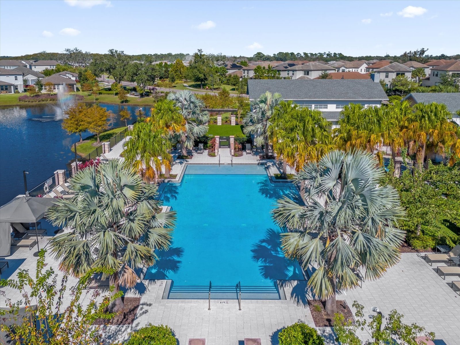 1340 Blue Stem Lane Winter Park FL 32792 O6365415 image42