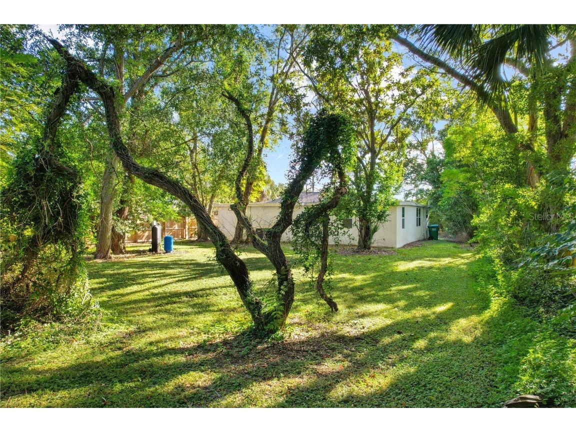 1340 Delaney Drive Winter Springs FL 32708 O6346776 image35