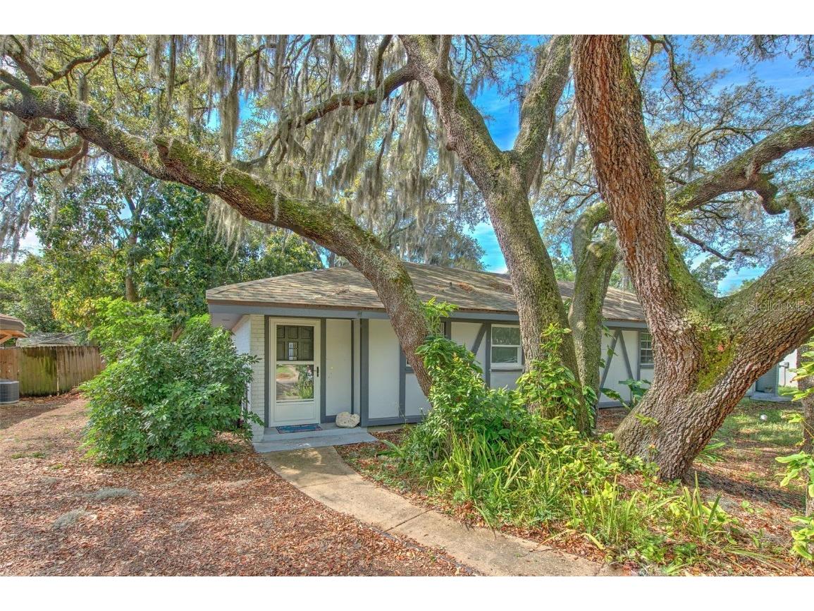 1340 Eagleview Drive Brandon FL 33510 T3534704 image1