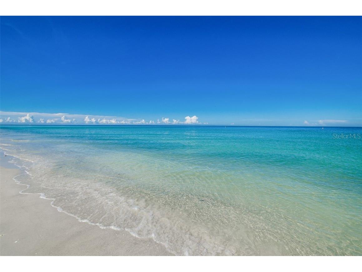 1340 Gulf Boulevard #16A Clearwater Beach FL 33767 - GULF OF MEXICO TB8387308 image52