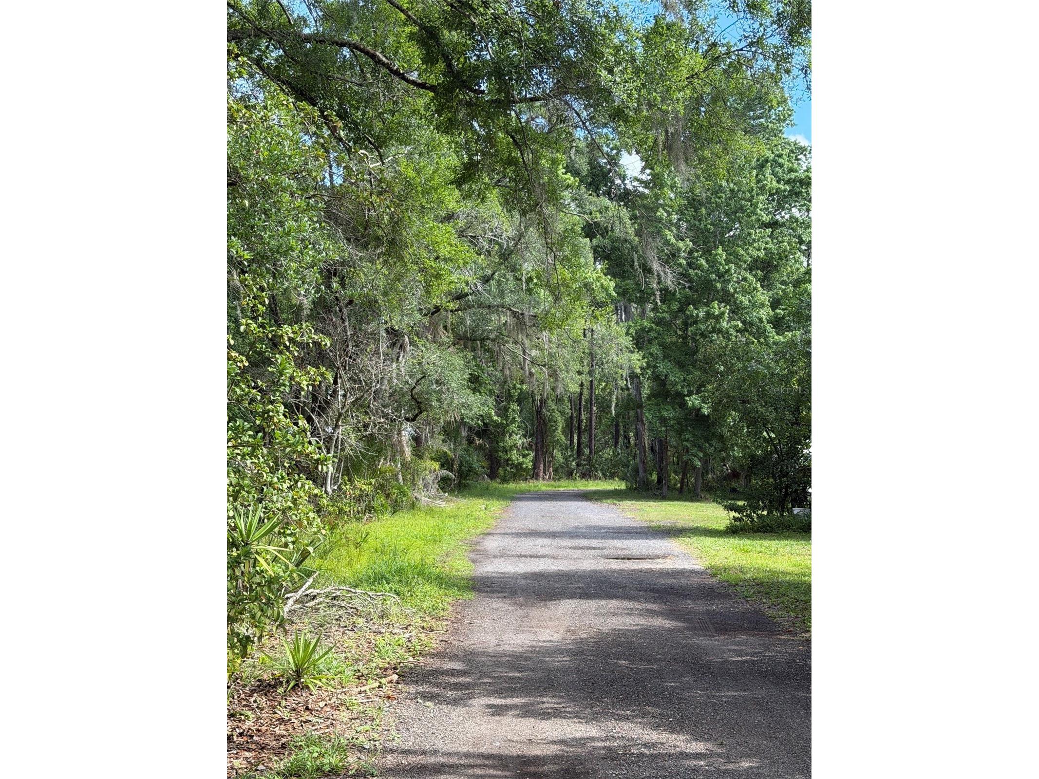 1340 Jayce Ct Geneva FL 32732 O6411630 image1