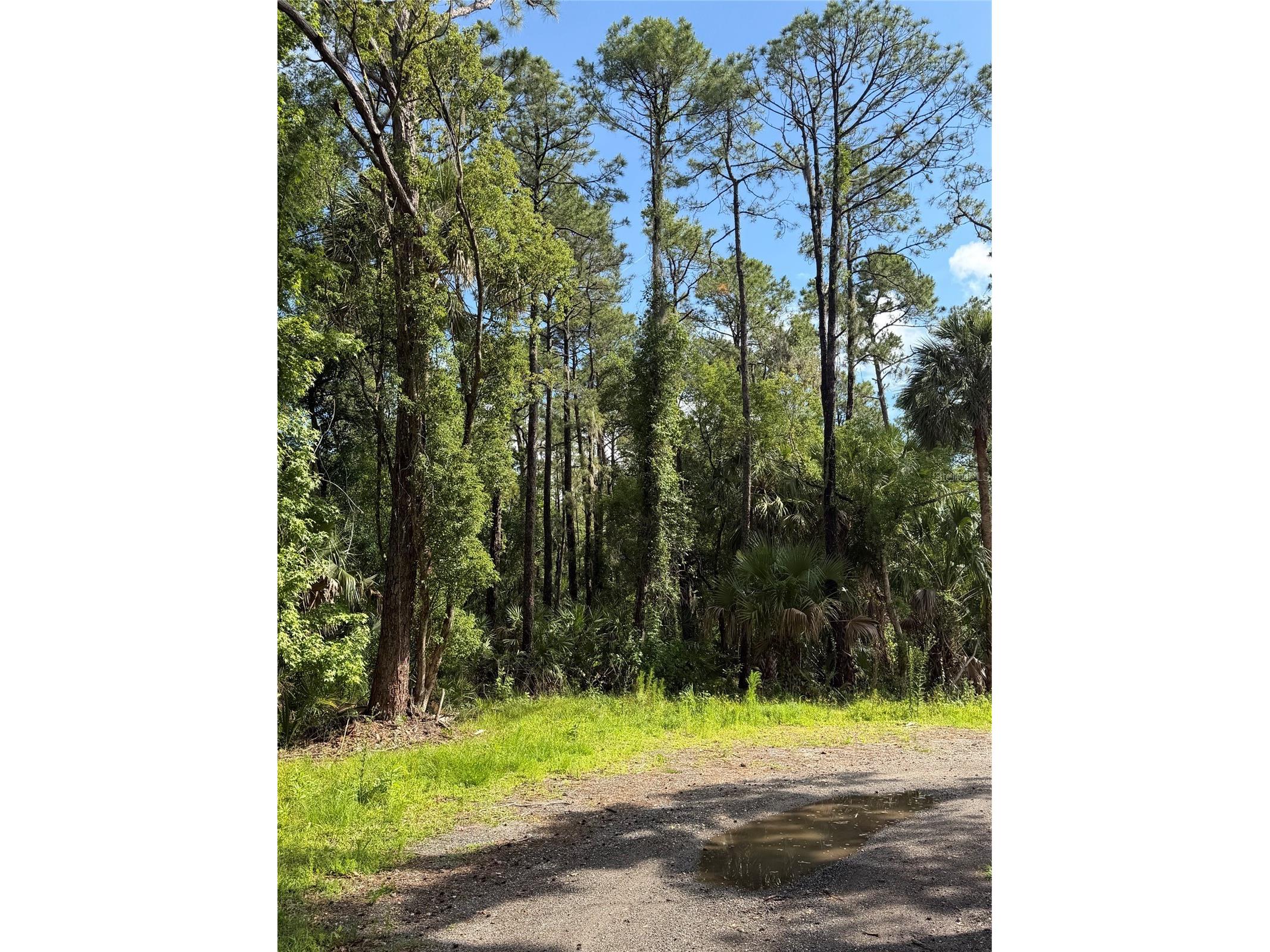 1340 Jayce Ct Geneva FL 32732 O6411630 image2