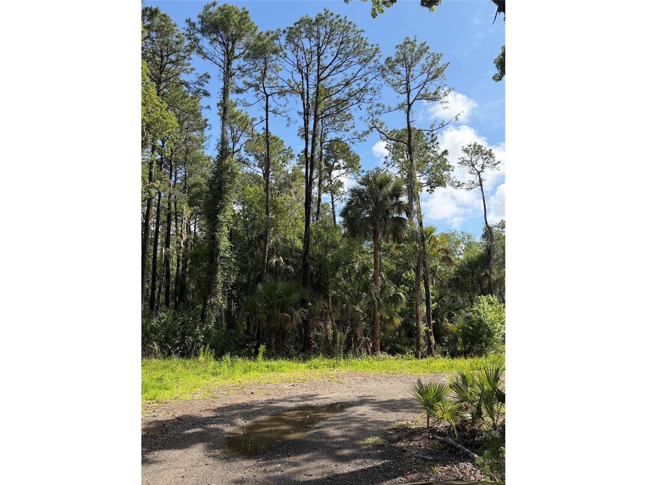 1340 Jayce Ct Geneva FL 32732 O6411630 image3