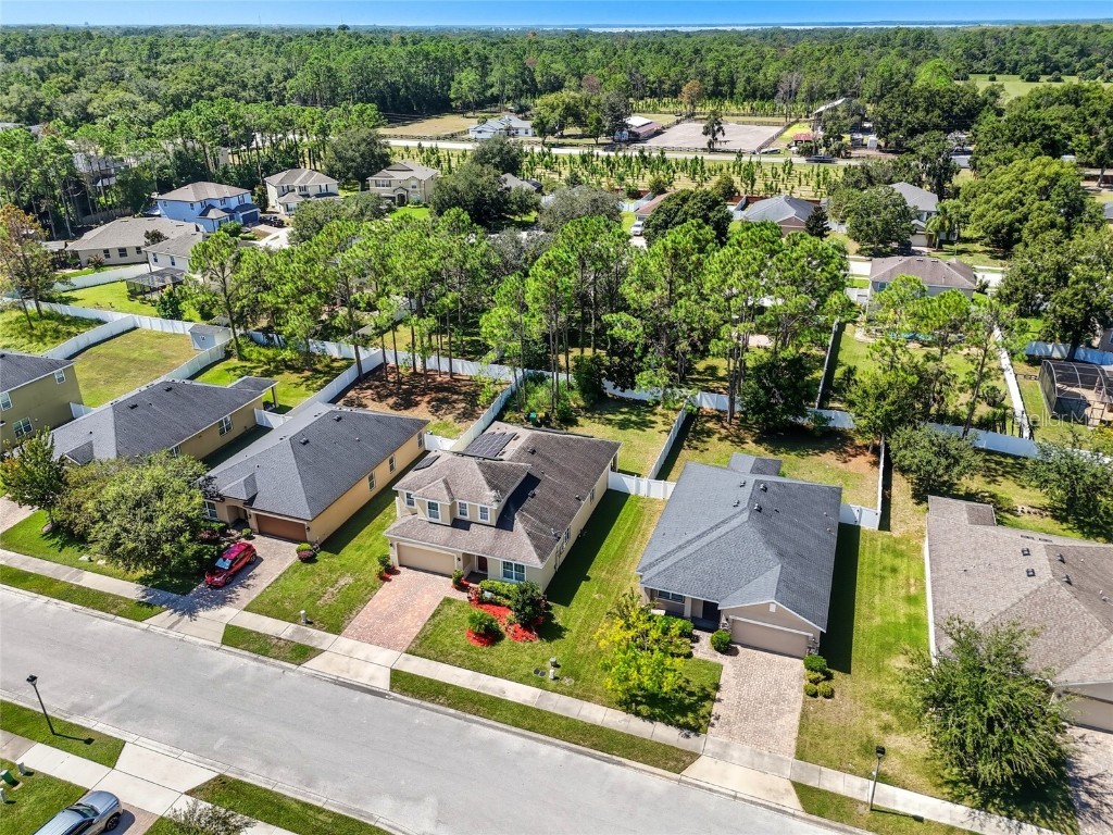 1340 Osprey Ridge Drive Eustis FL 32736 O6335891 image6