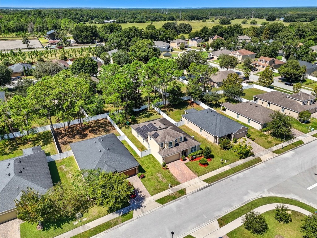 1340 Osprey Ridge Drive Eustis FL 32736 O6335891 image7