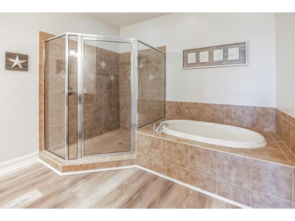 1340 Ribolla Drive Palm Harbor FL 34683 TB8517236 image17