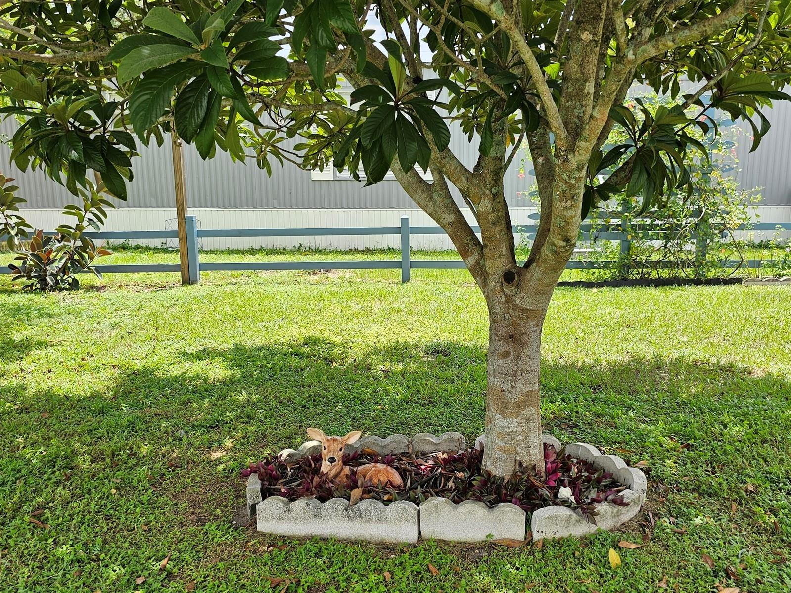 1340 Sawdust Trail Kissimmee FL 34744 G5106887 image23