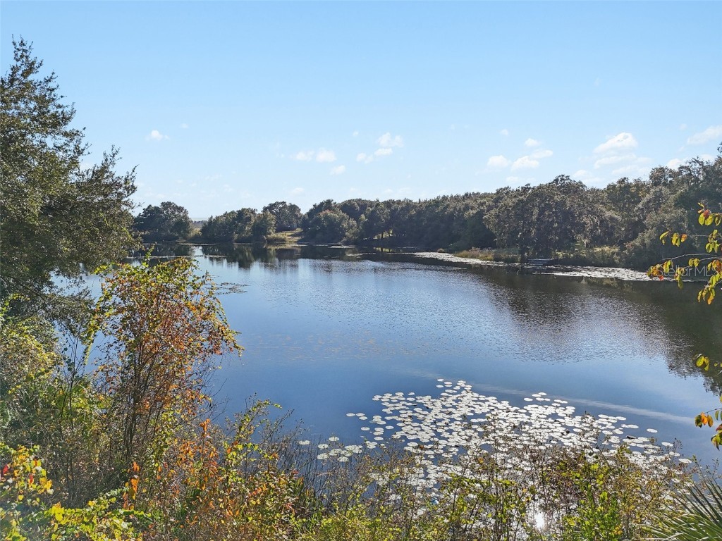 13400 County Road 450 Umatilla FL 32784 G5104702 image28