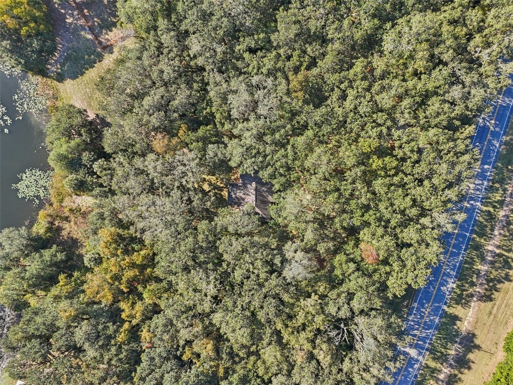 13400 County Road 450 Umatilla FL 32784 G5104702 image54