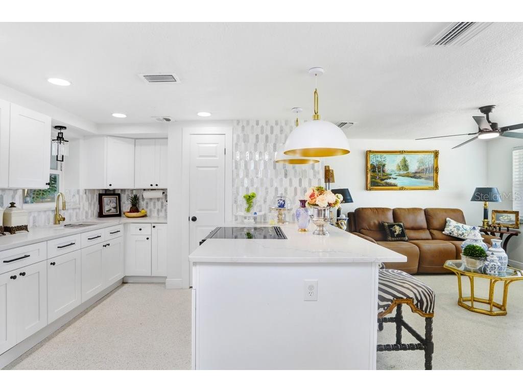13400 Neptune Drive Hudson FL 34667 TB8497989 image10