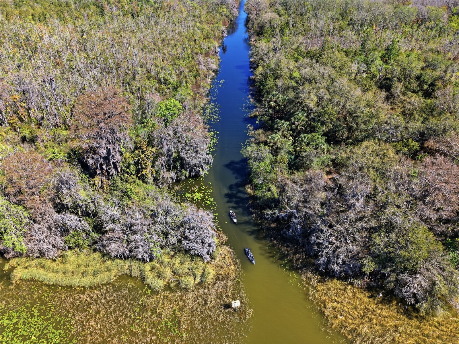 13401 Palm Drive Astatula FL 34705 - LITTLE LAKE HARRIS G5109339 image16