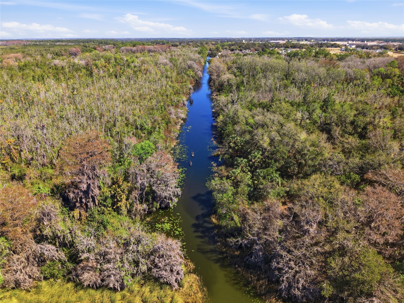 13401 Palm Drive Astatula FL 34705 - LITTLE LAKE HARRIS G5109339 image17