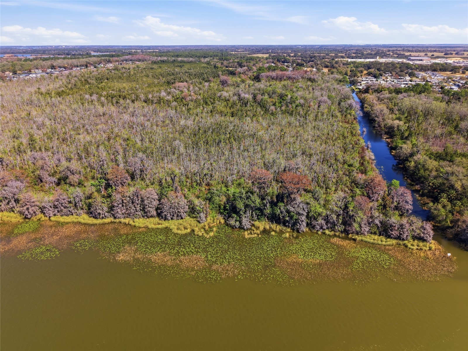 13401 Palm Drive Astatula FL 34705 - LITTLE LAKE HARRIS G5109339 image2
