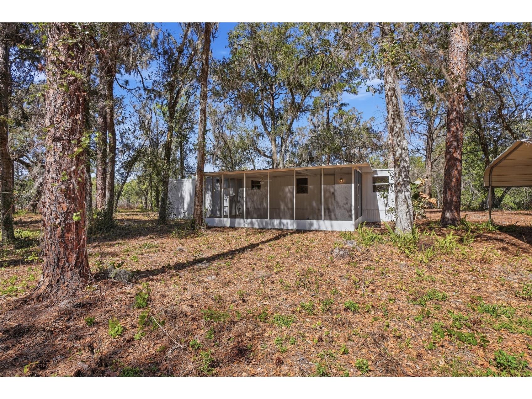 13401 Palm Drive Astatula FL 34705 - LITTLE LAKE HARRIS G5109339 image21