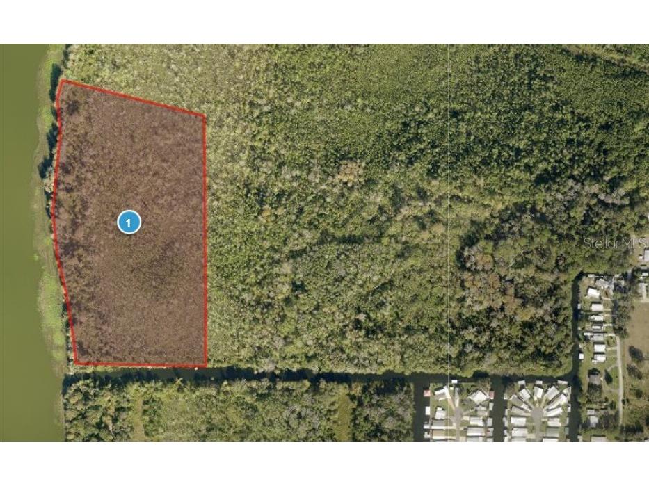 13401 Palm Drive Astatula FL 34705 - LITTLE LAKE HARRIS G5109339 image3