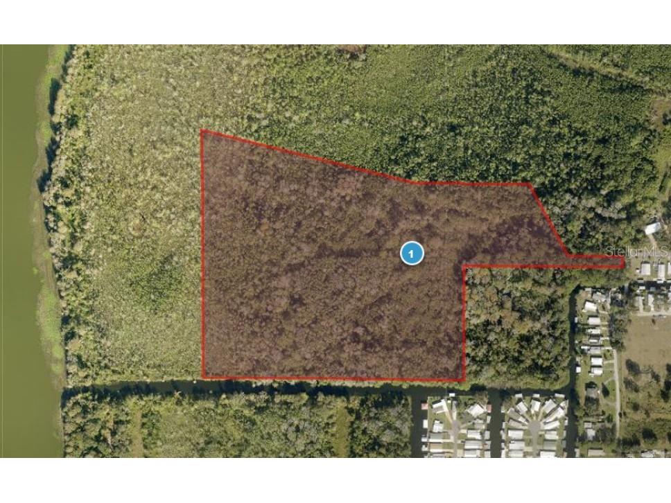 13401 Palm Drive Astatula FL 34705 - LITTLE LAKE HARRIS G5109339 image4