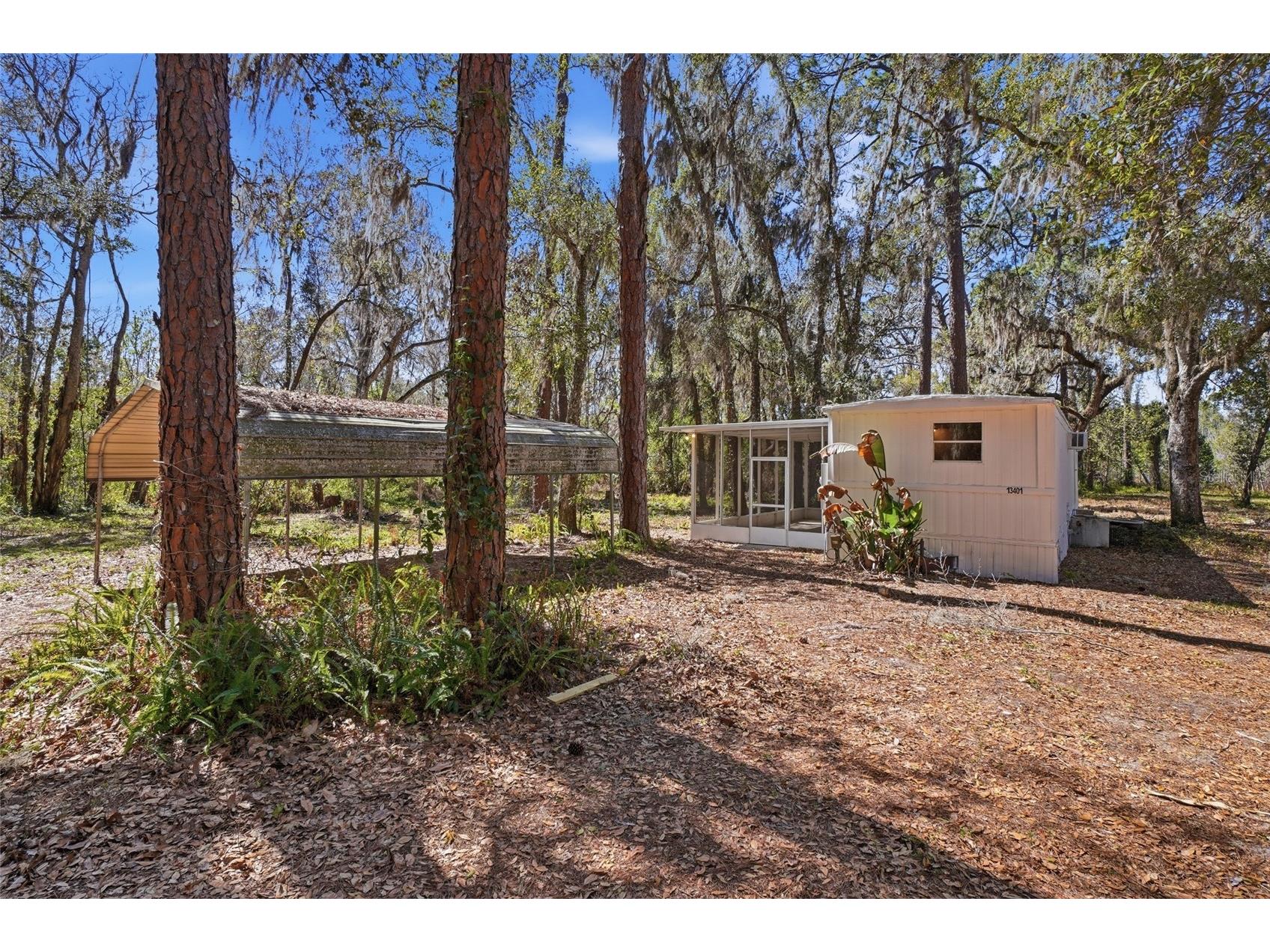 13401 Palm Drive Astatula FL 34705 - LITTLE LAKE HARRIS G5109339 image41