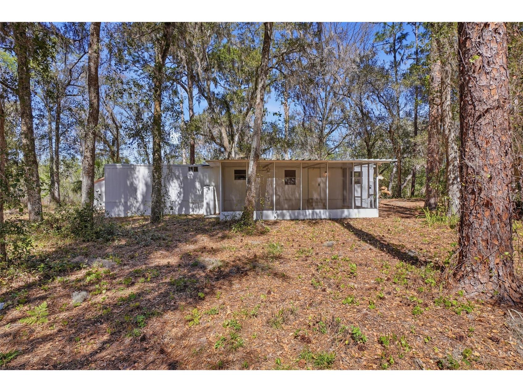 13401 Palm Drive Astatula FL 34705 - LITTLE LAKE HARRIS G5109339 image42