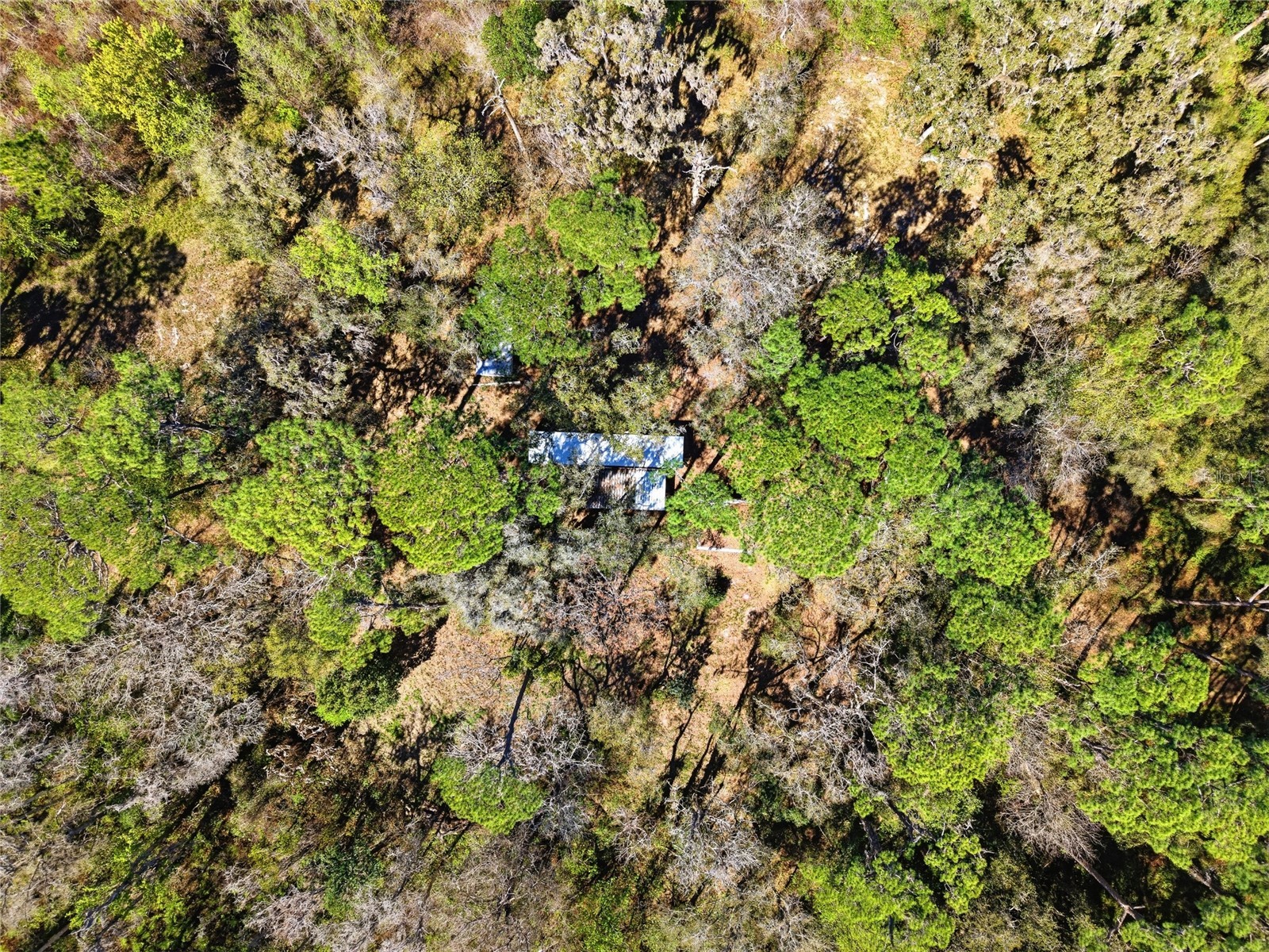 13401 Palm Drive Astatula FL 34705 - LITTLE LAKE HARRIS G5109339 image43