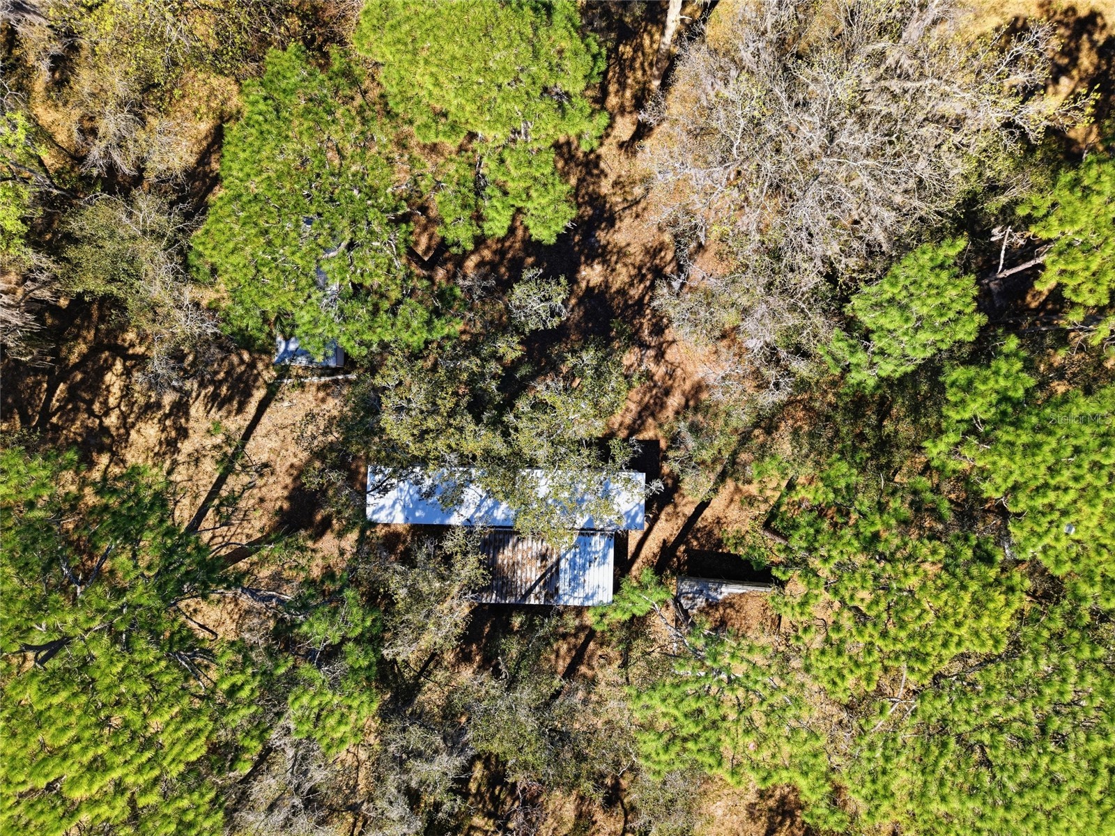 13401 Palm Drive Astatula FL 34705 - LITTLE LAKE HARRIS G5109339 image44