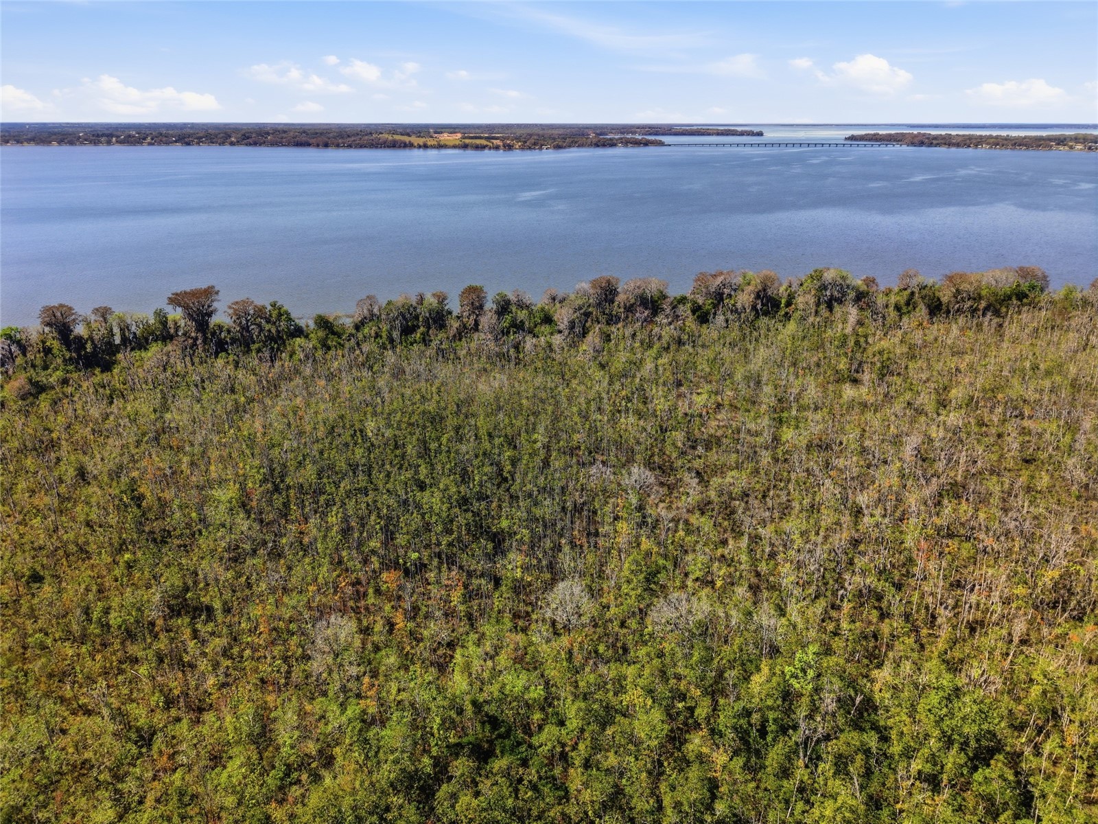 13401 Palm Drive Astatula FL 34705 - LITTLE LAKE HARRIS G5109339 image45