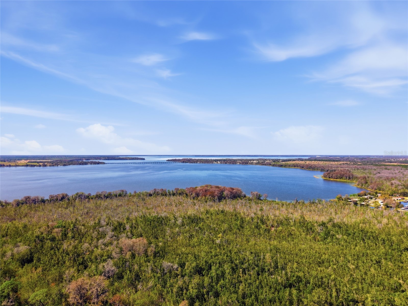 13401 Palm Drive Astatula FL 34705 - LITTLE LAKE HARRIS G5109339 image46