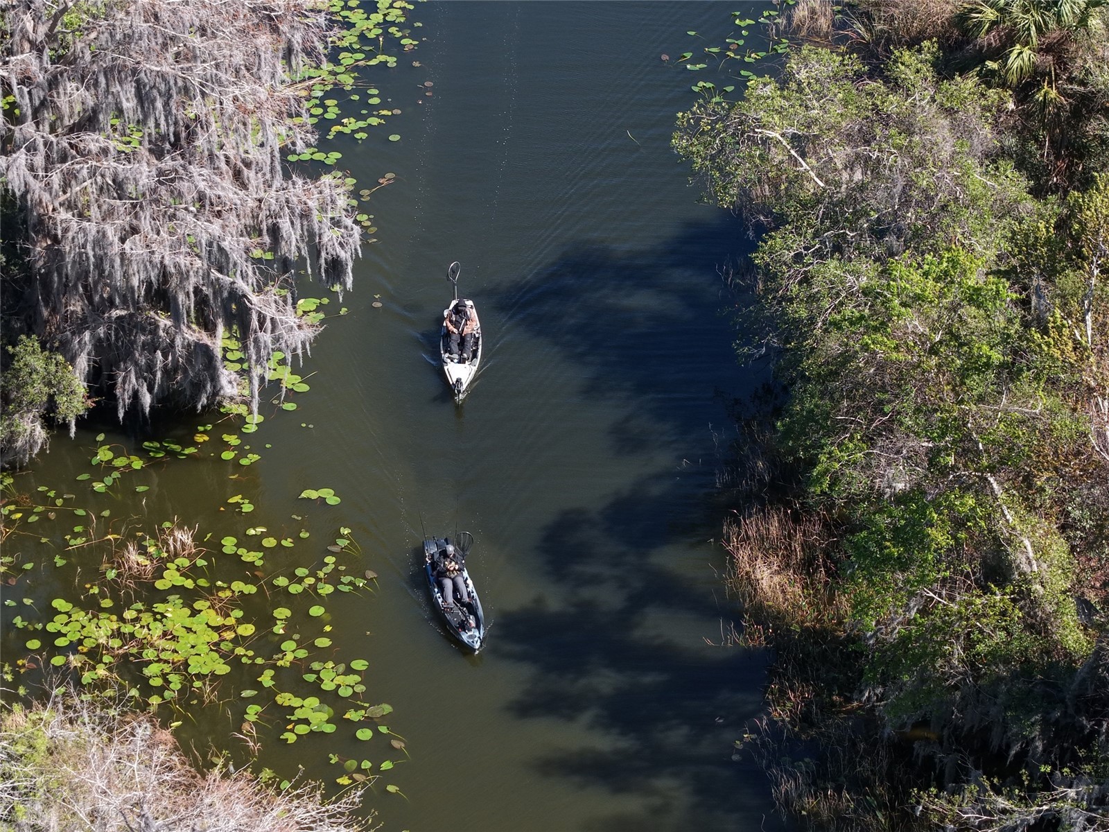 13401 Palm Drive Astatula FL 34705 - LITTLE LAKE HARRIS G5109339 image5