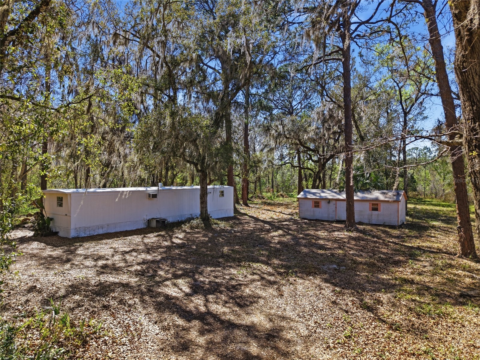 13401 Palm Drive Astatula FL 34705 - LITTLE LAKE HARRIS G5109339 image8