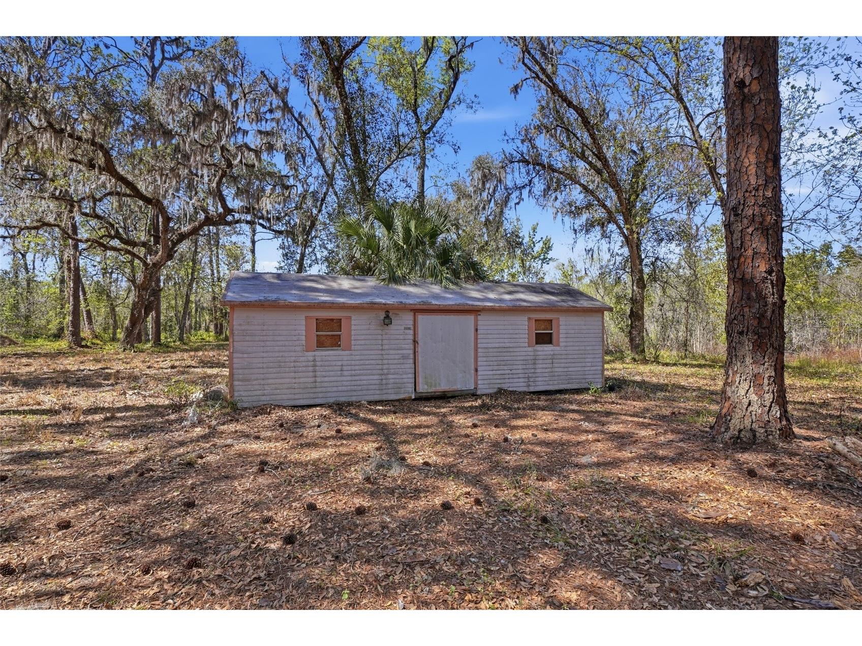 13401 Palm Drive Astatula FL 34705 - LITTLE LAKE HARRIS G5109339 image9