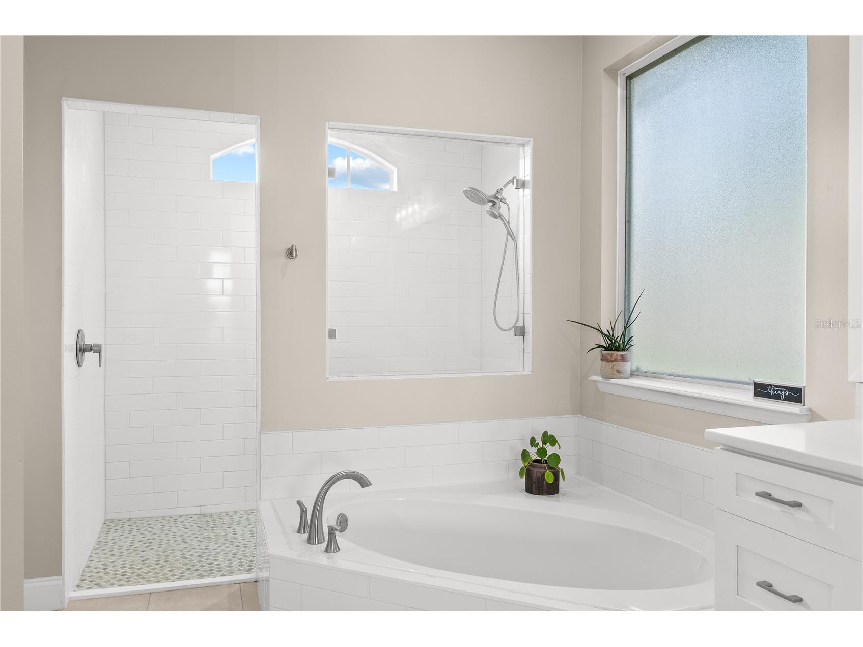 13401 Pointe Court Orlando FL 32828 O6409818 image36
