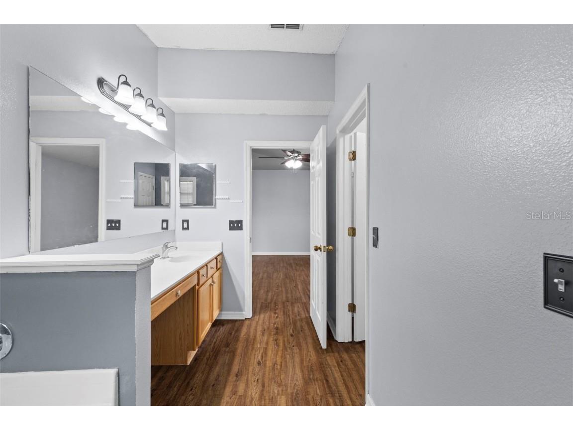 13402 Copper Head Drive Riverview FL 33569 TB8422222 image35