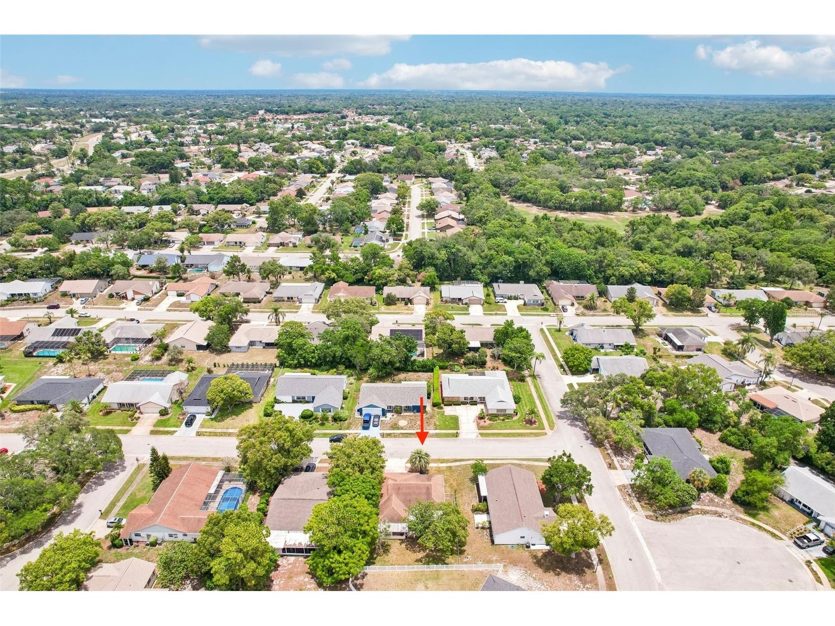 13403 Rayburn Road Hudson FL 34667 TB8513076 image64