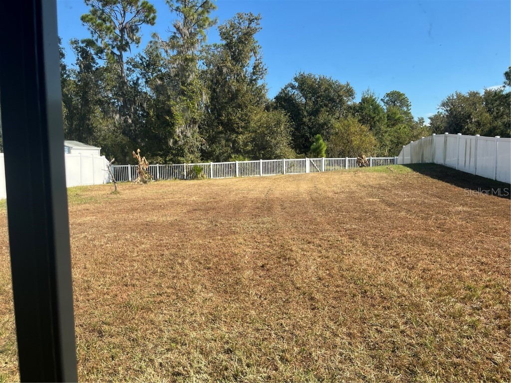 13403 Willow Bluestar Loop Riverview FL 33579 TB8450839 image10