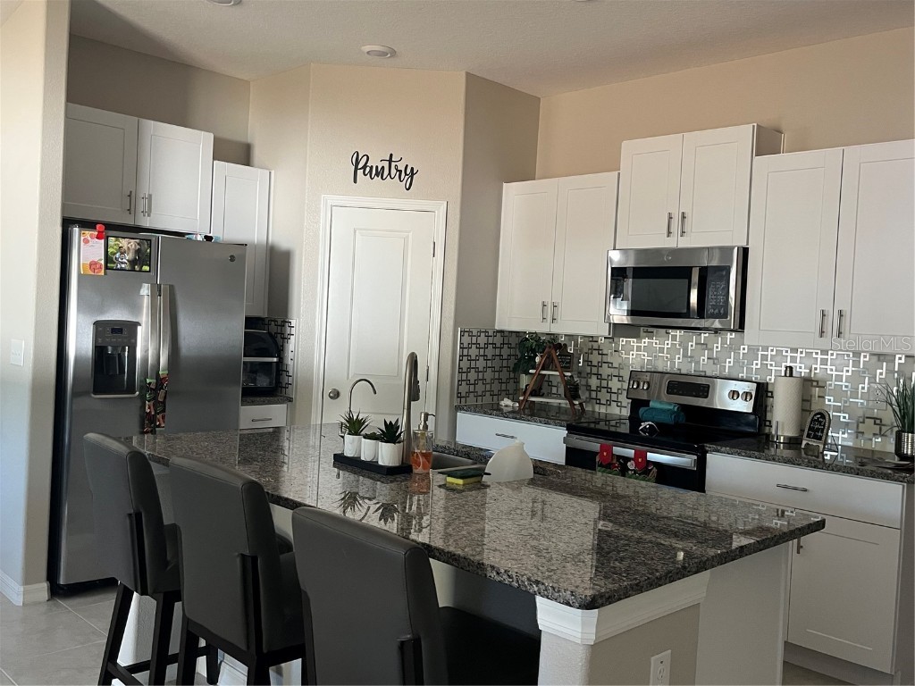 13403 Willow Bluestar Loop Riverview FL 33579 TB8450839 image3