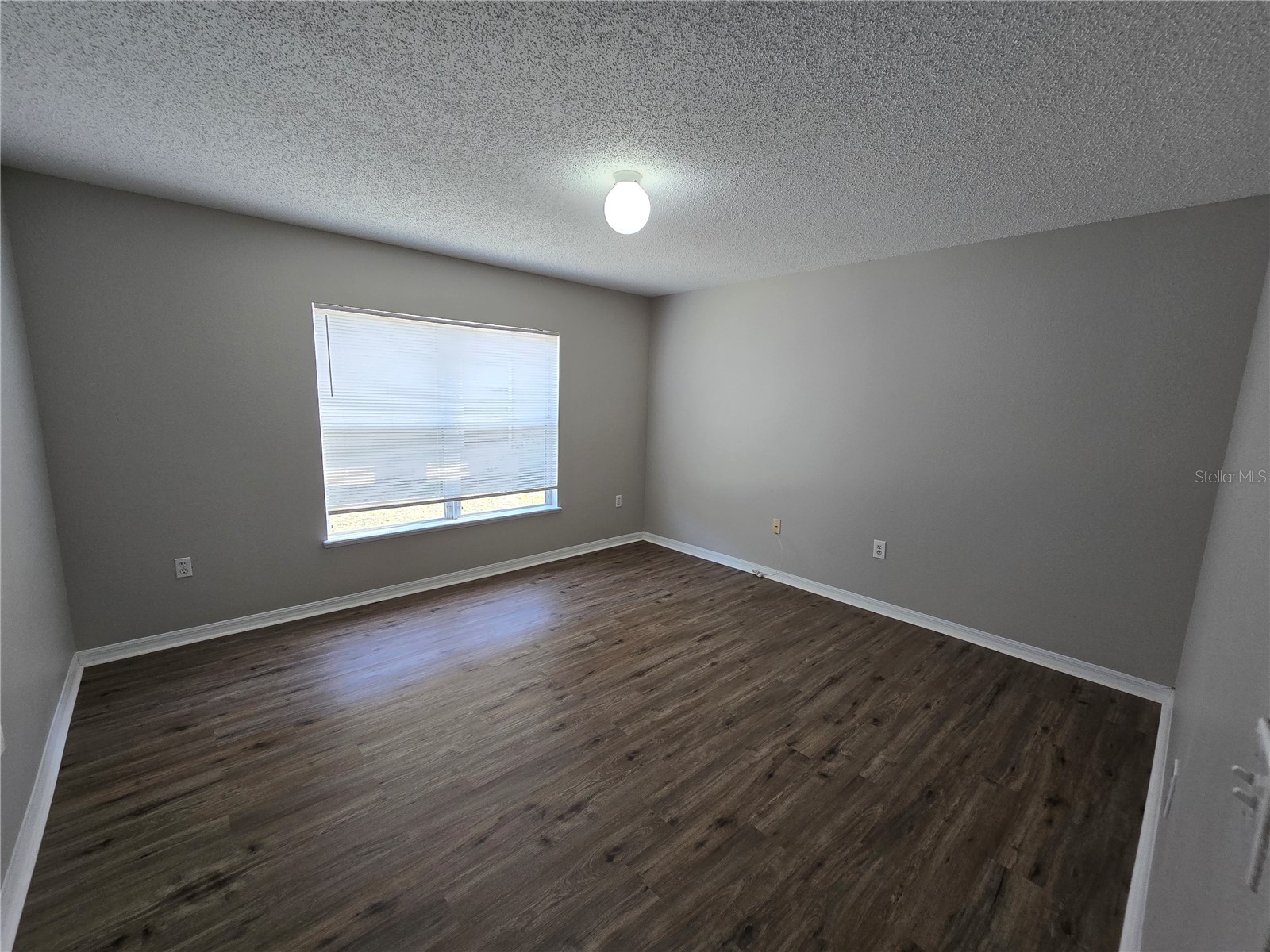 13404 Copper Head Drive Riverview FL 33569 TB8516227 image11