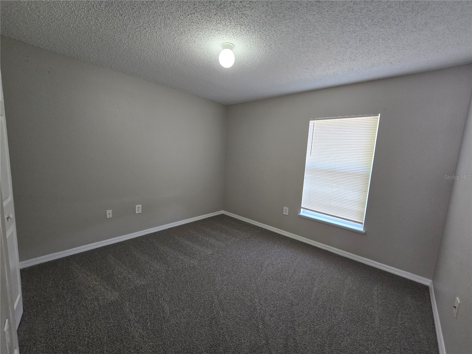 13404 Copper Head Drive Riverview FL 33569 TB8516227 image17