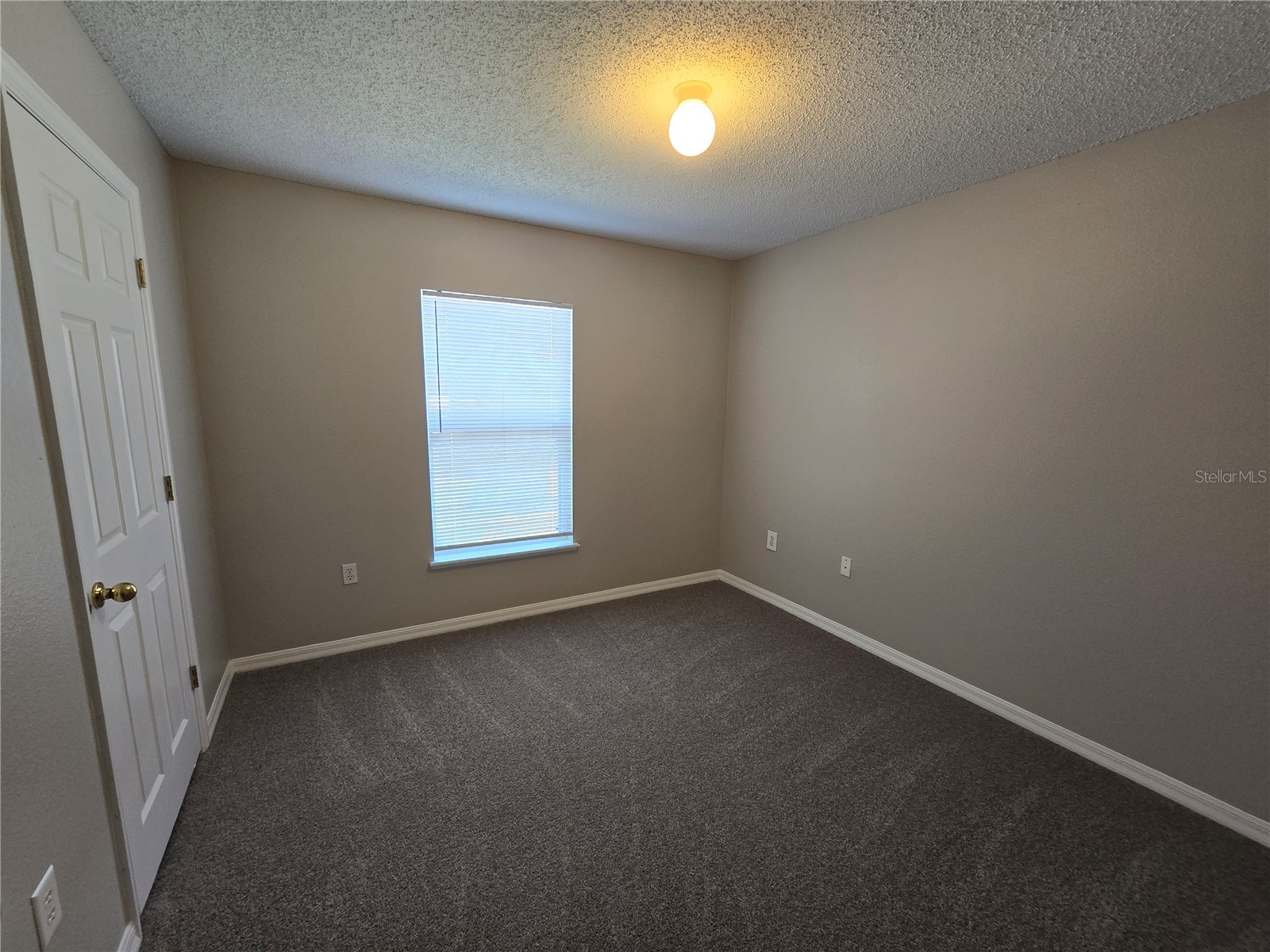 13404 Copper Head Drive Riverview FL 33569 TB8516227 image19
