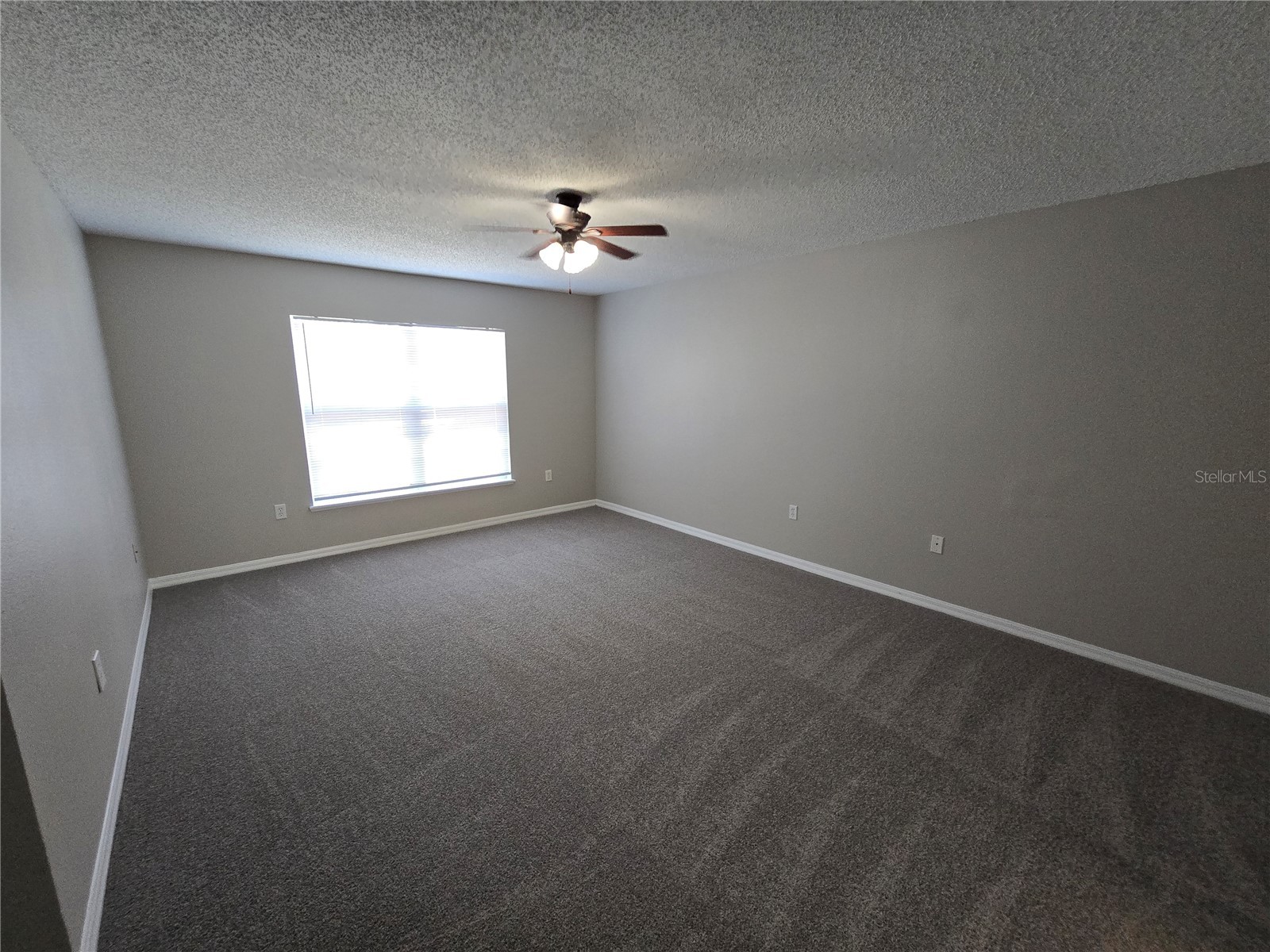 13404 Copper Head Drive Riverview FL 33569 TB8516227 image23