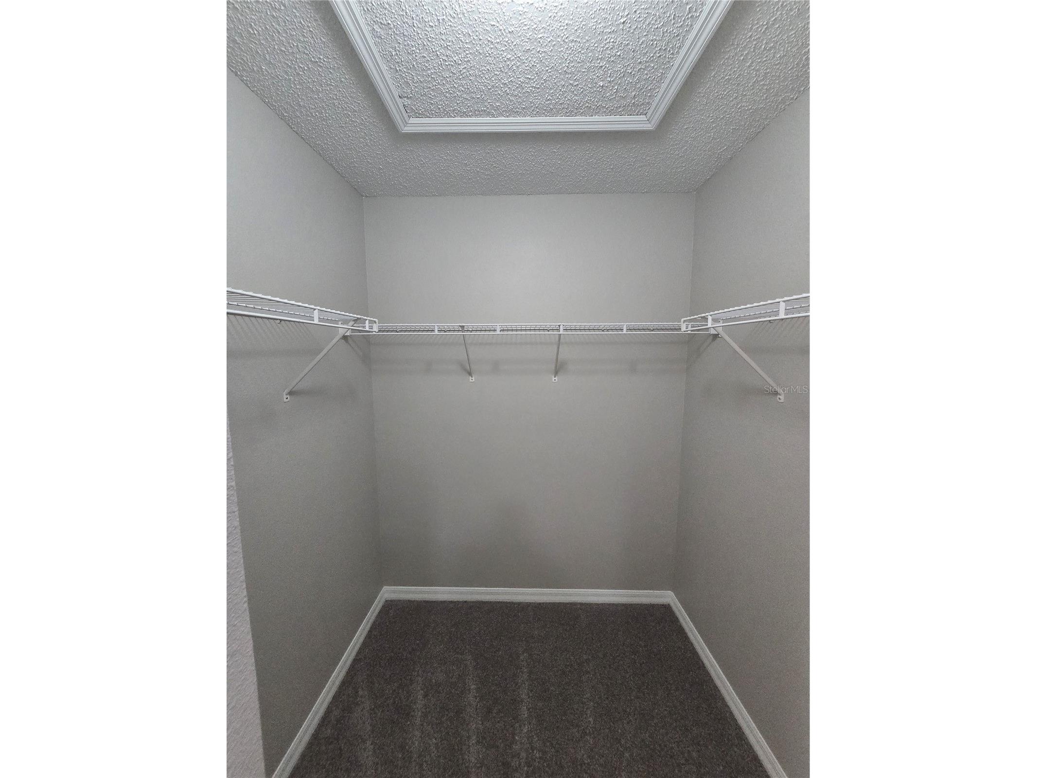 13404 Copper Head Drive Riverview FL 33569 TB8516227 image25