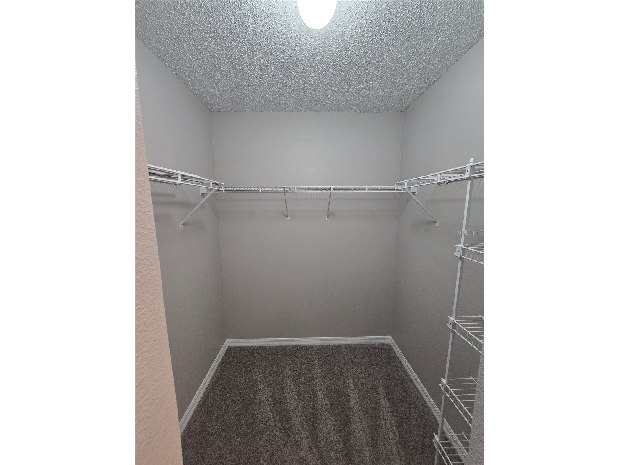 13404 Copper Head Drive Riverview FL 33569 TB8516227 image26