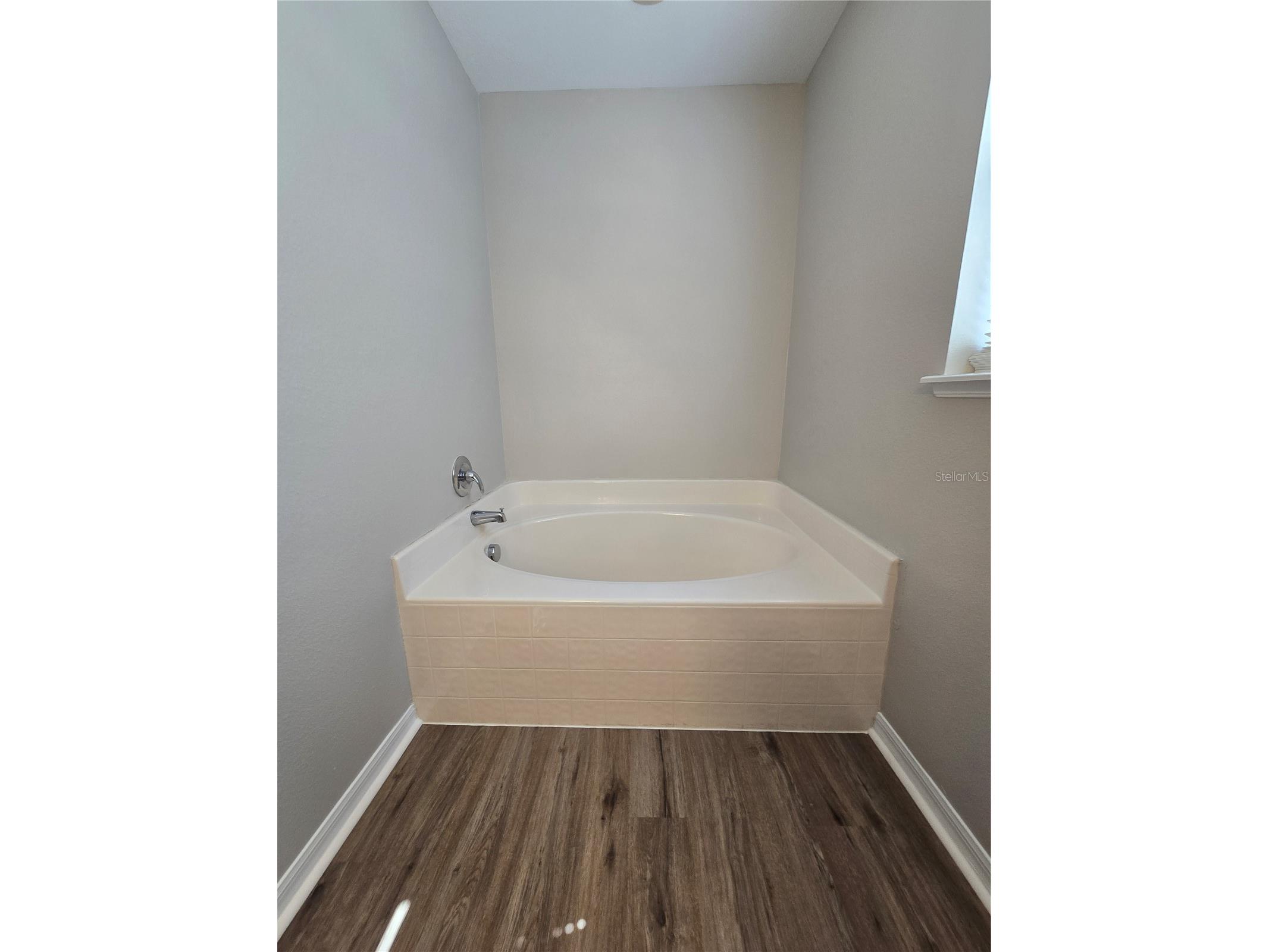 13404 Copper Head Drive Riverview FL 33569 TB8516227 image27